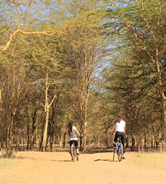 Tanzania Biking Safari